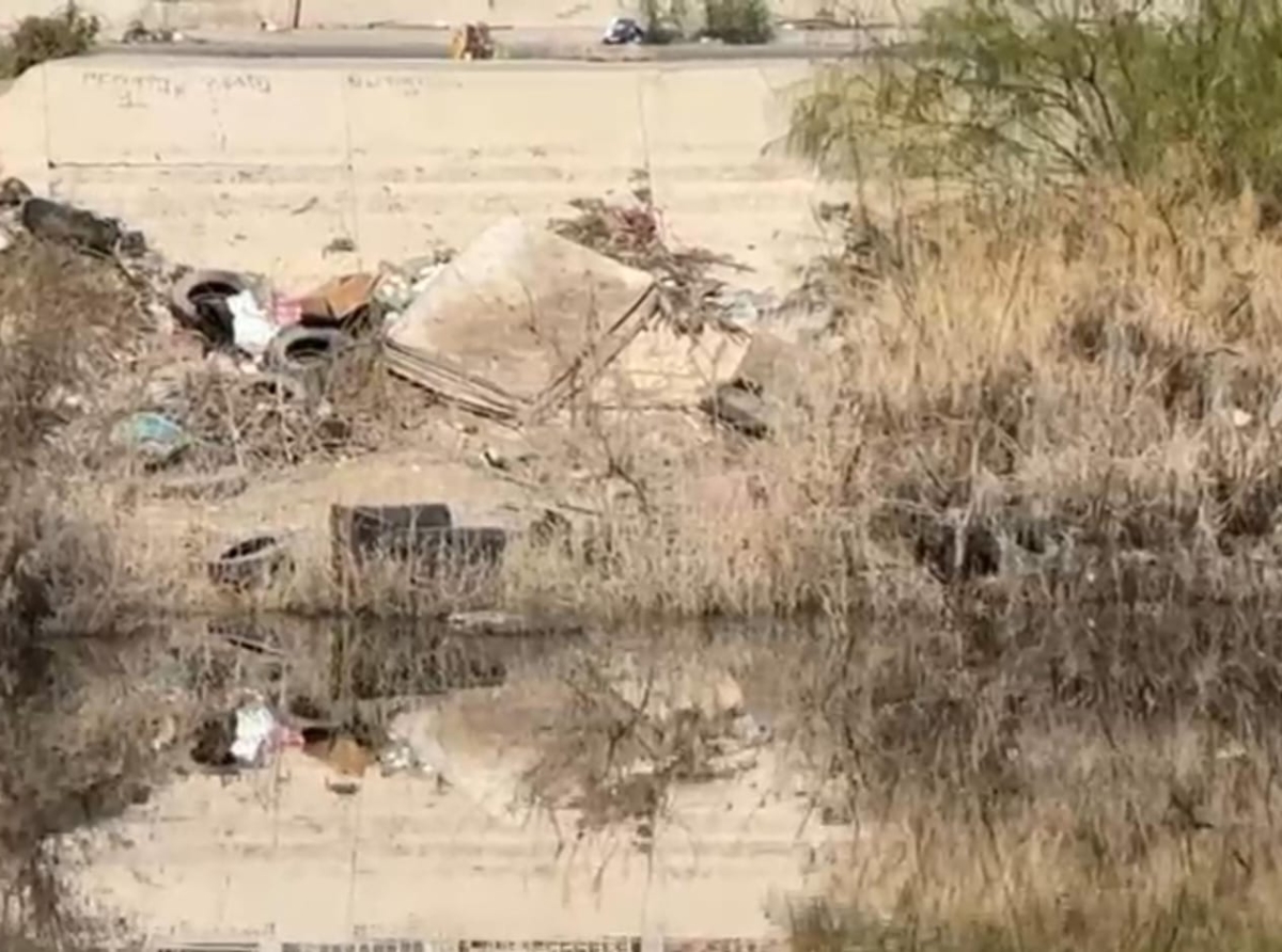 Transhumanismo Mexicano